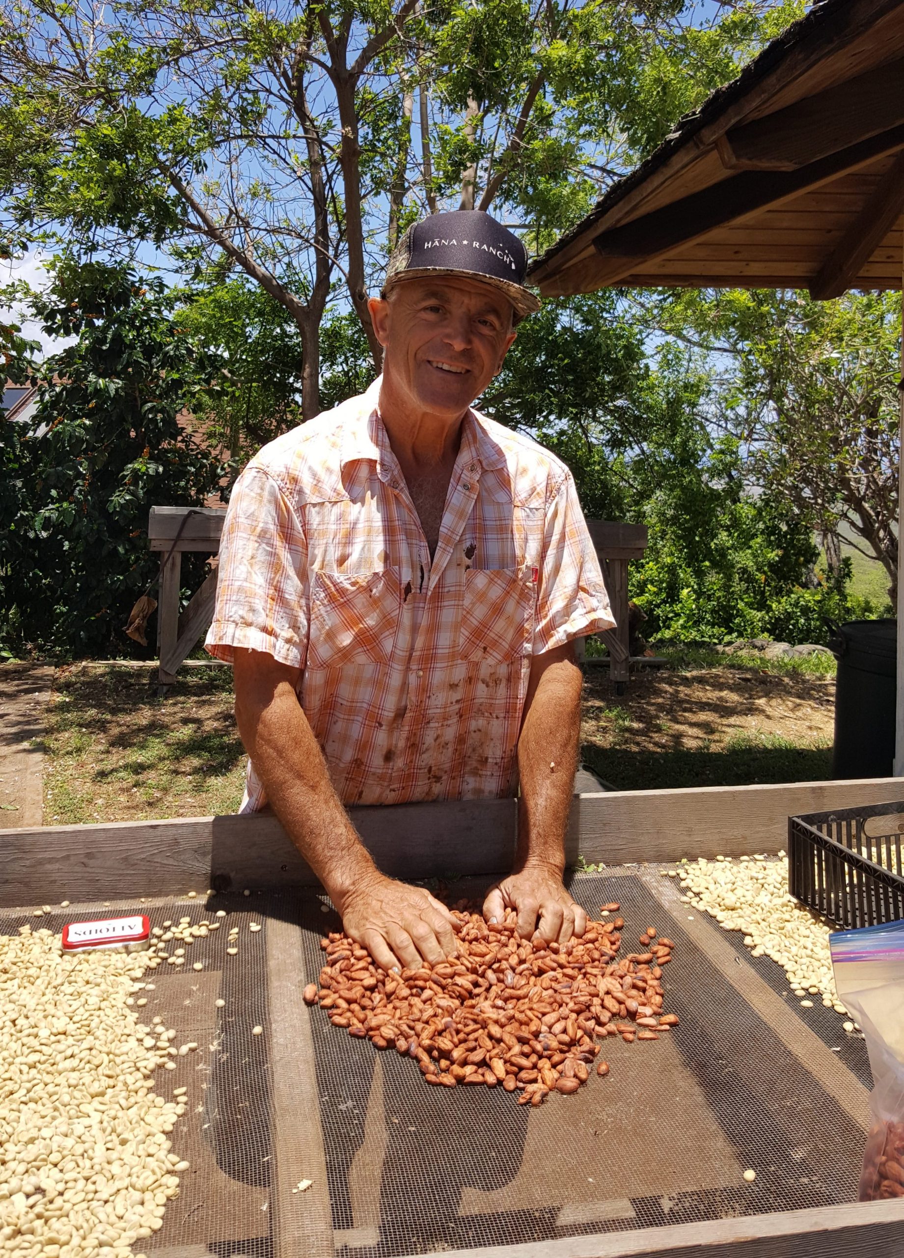 Weekly Update…What’s going on with the Coffee and Cacao…