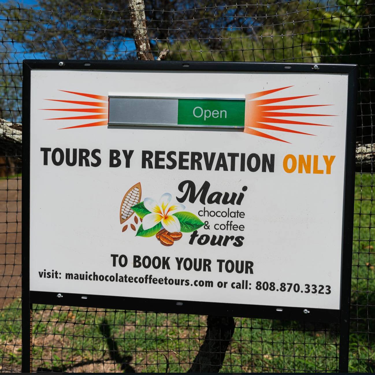 How Businesses in Hawaii Have Pivoted During COVID 19