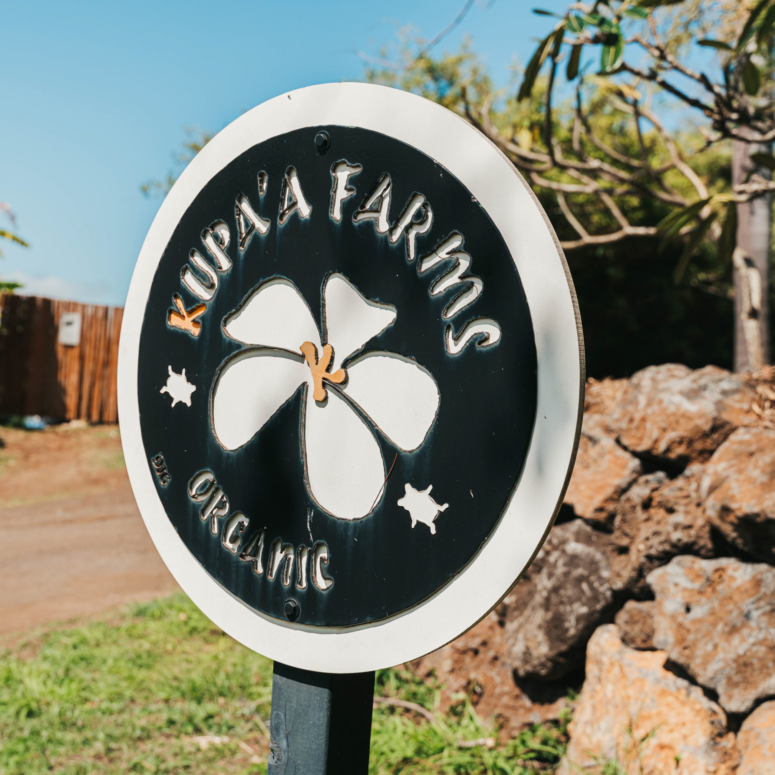 Hawaii Business Owners Doing What They Love