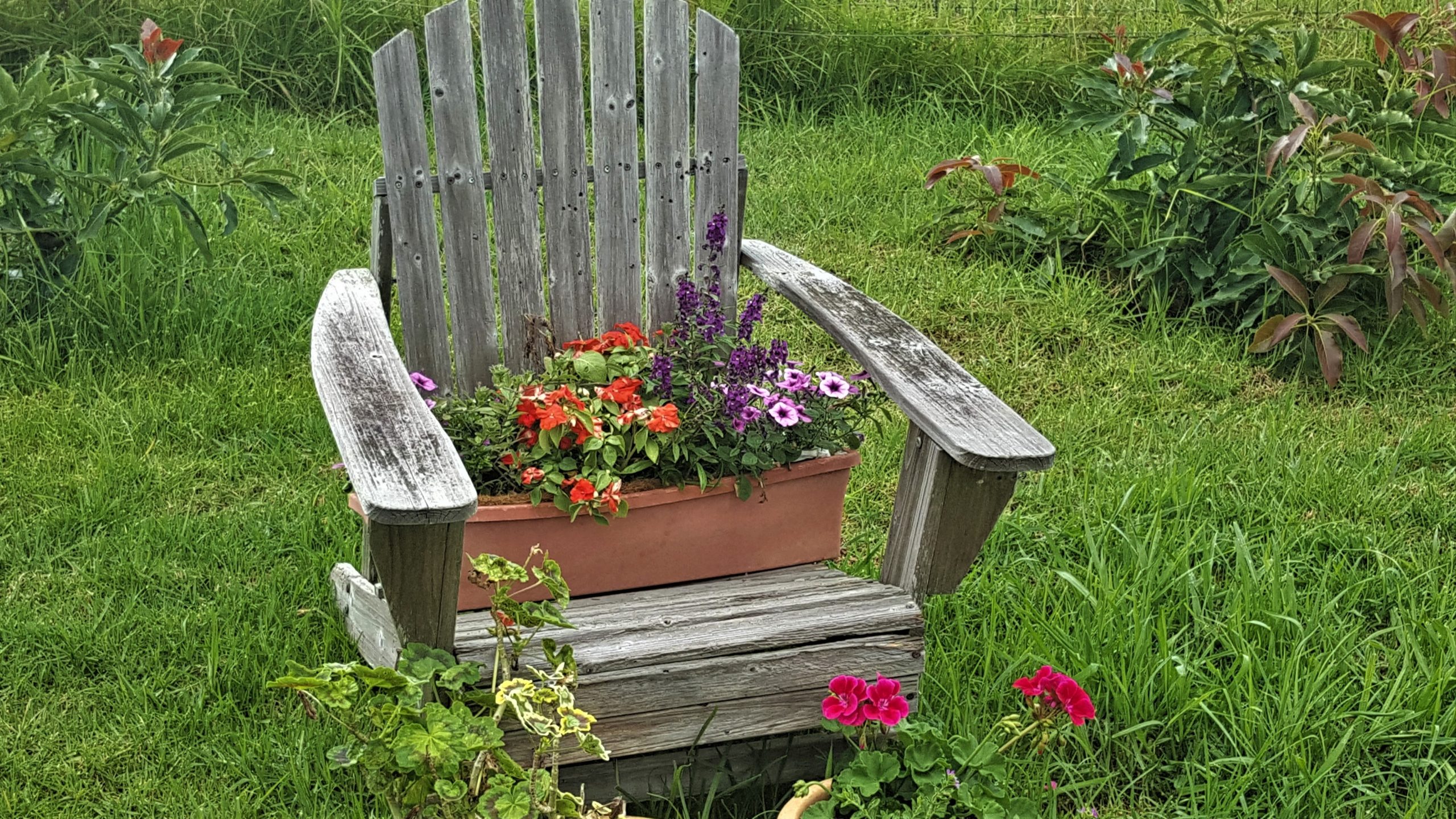 Life is a vacation on Maui Maui Chocolate and Coffee Tours