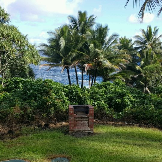 Vacation on Maui