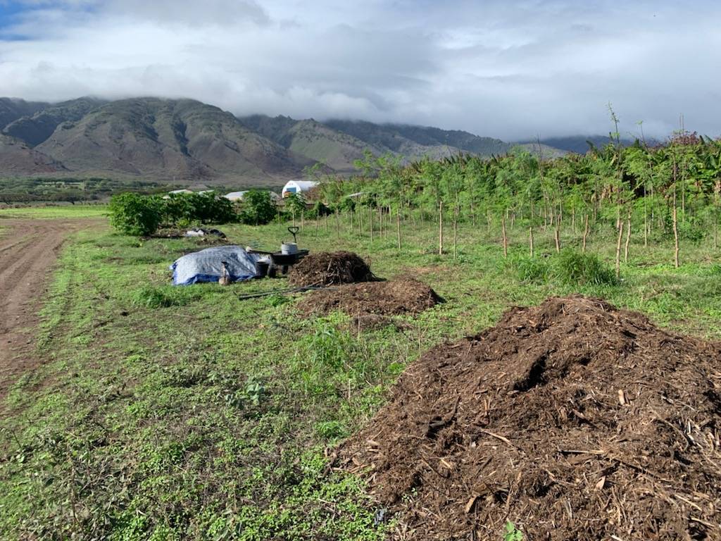 Maui's newest aspiring farmer