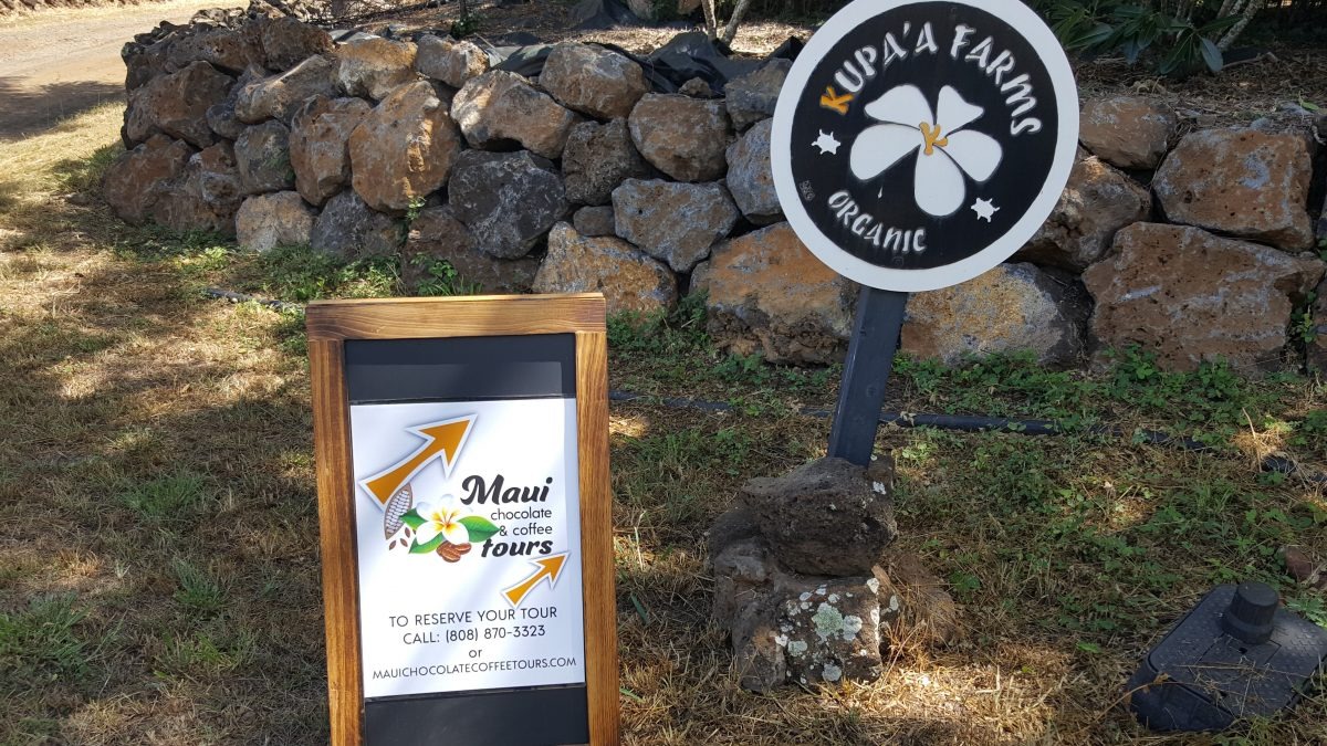 imgi_2_20190711_110210-1200×675