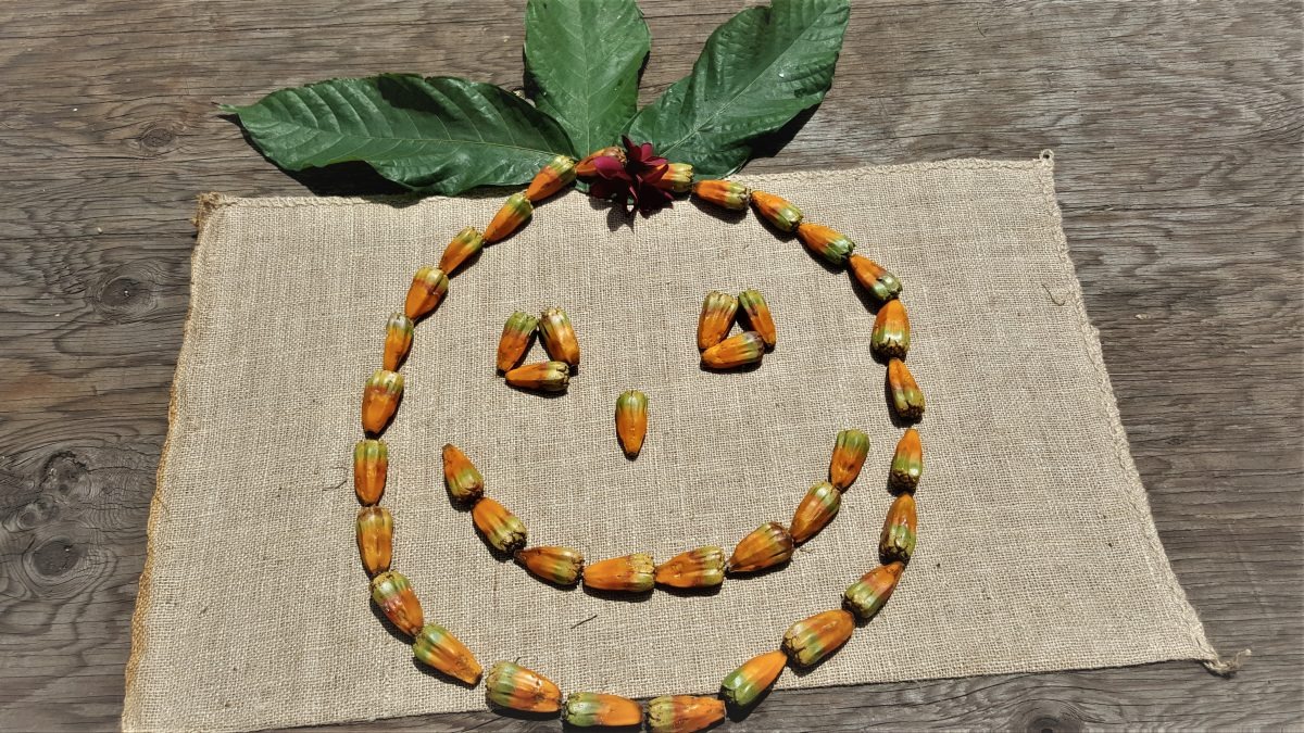 imgi_2_20191008_122807-1200×675