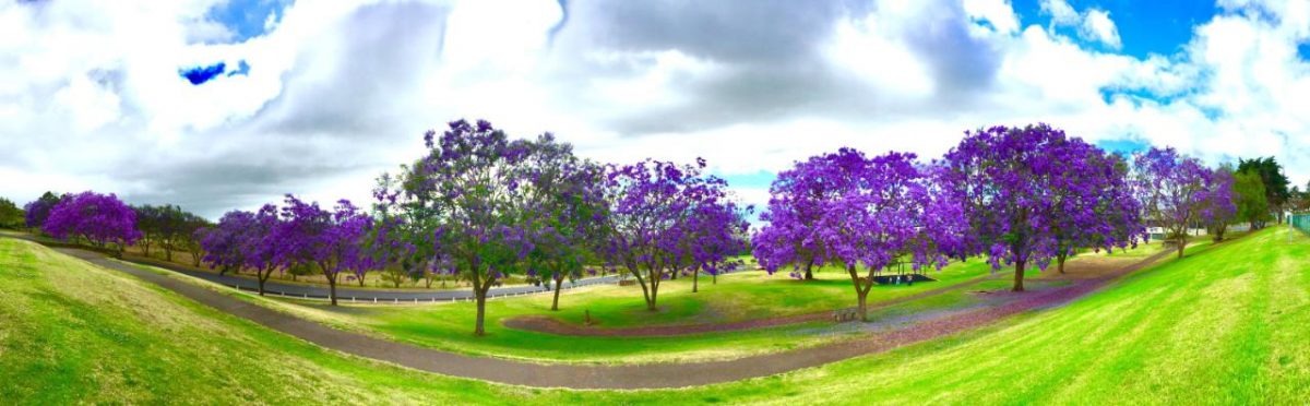 imgi_2_31052-1200×372