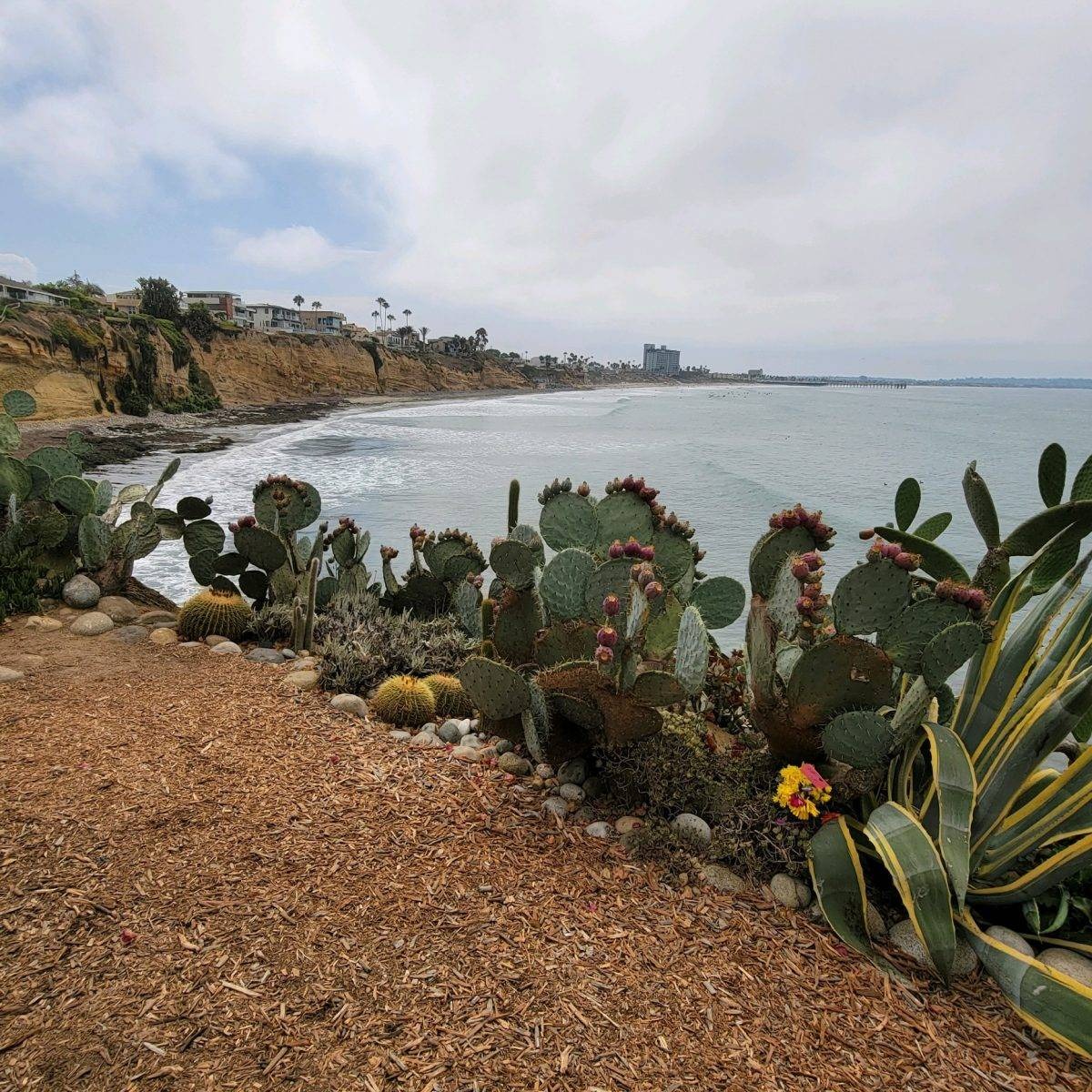 imgi_2_IMG_9559-1200×1200