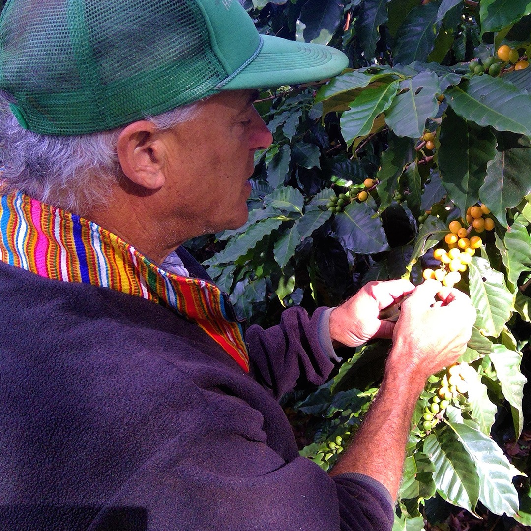 imgi_2_coffee-inspection