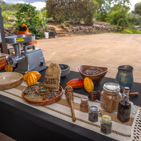Table with cacao pods, grinder, jars, and spices displayed outdoors on a sunny day.