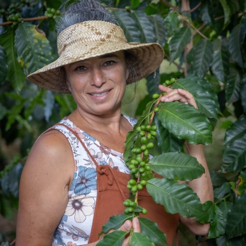 Smiling woman in a straw hat holds a branch of green coffee cherries in a garden.