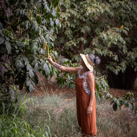 Person in a sun hat and dress reaching for a tree branch in a lush garden.