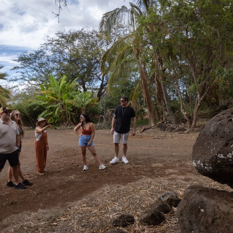Five people in casual clothes stand outdoors near tropical trees and large rocks.