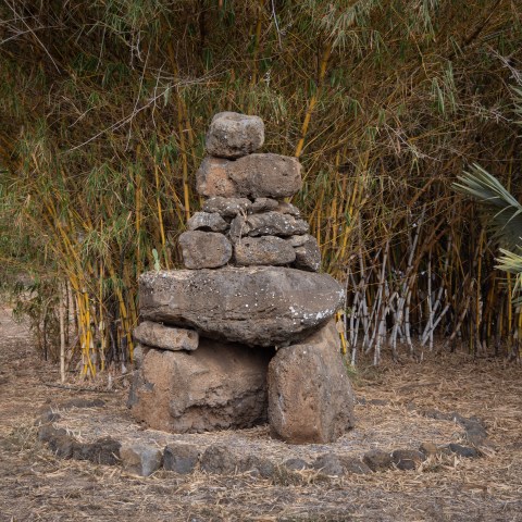 Stone cairn surrounded by bamboo and palm leaves, with parked cars in the background.