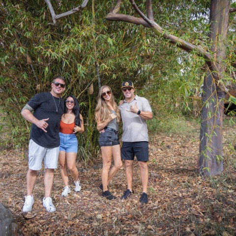 Four people posing happily in front of a large tree with dense foliage.