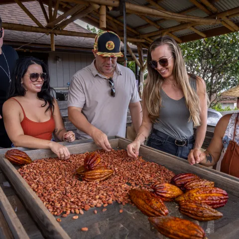 Group of people examining cocoa beans and pods in an outdoor setting.