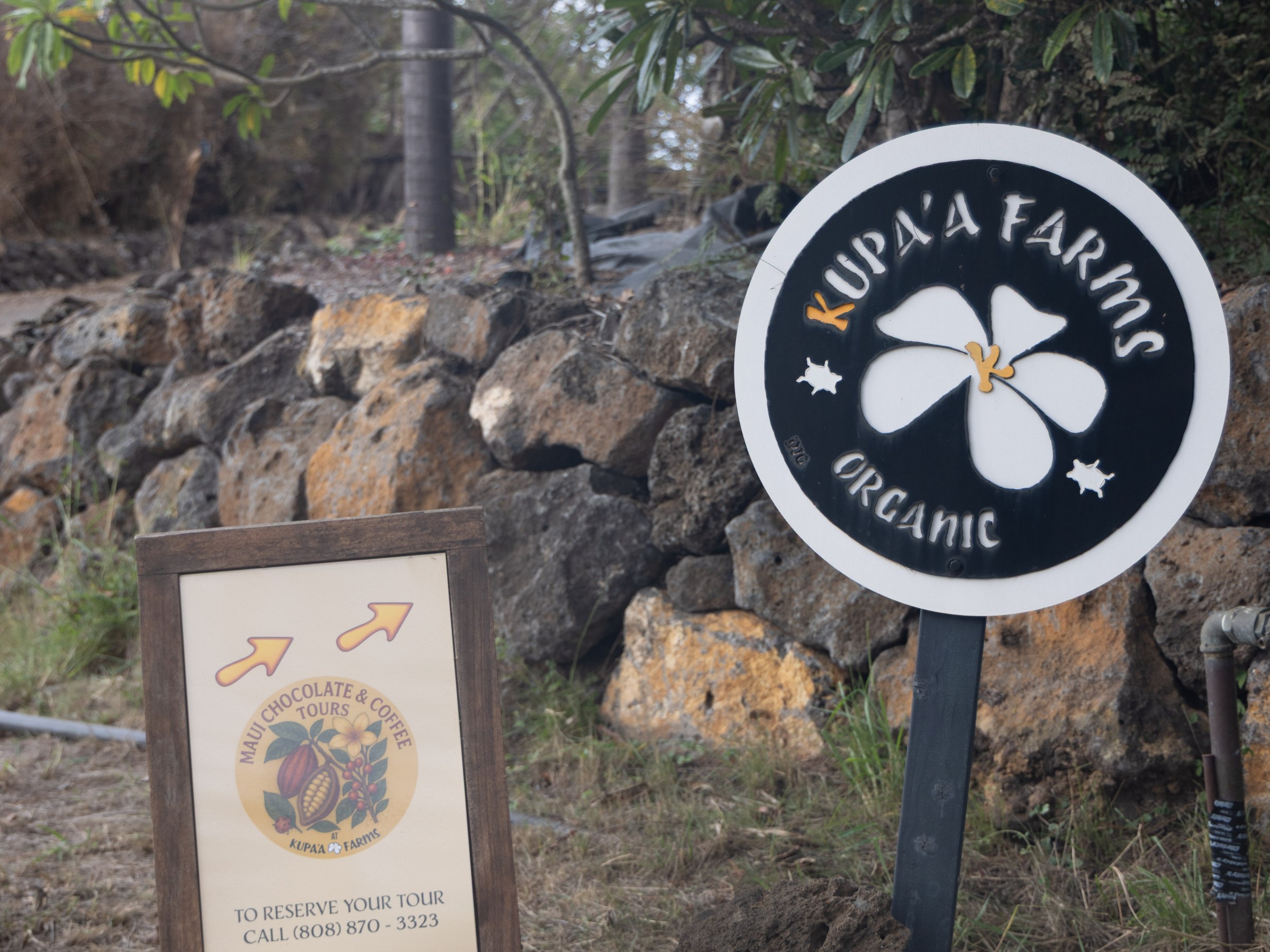Signage for Kupa'a Farms and Maui Chocolate & Coffee Tours near a stone wall and greenery.