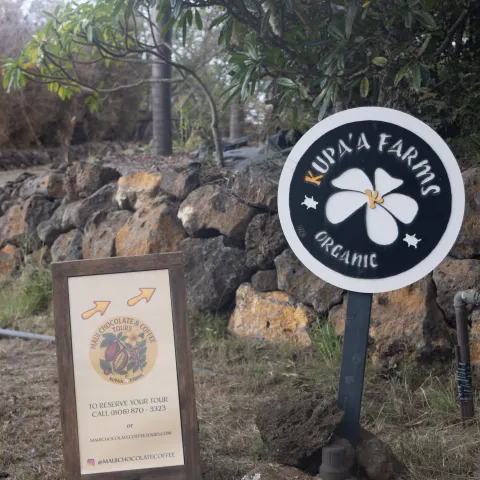 Signage for Kupa'a Farms and Maui Chocolate & Coffee Tours near a stone wall and greenery.