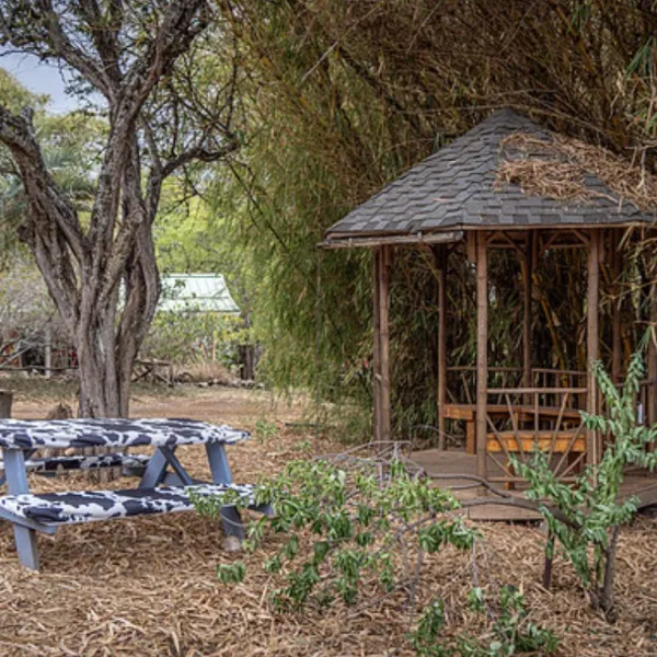 Wooden gazebo near a picnic table in a wooded area with trees and bamboo.