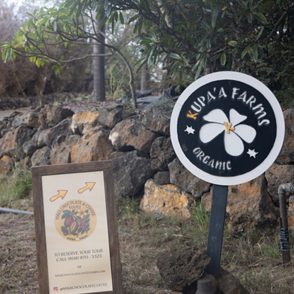 Signs for Kupa'a Farms Organic and Maui Chocolate & Coffee Tours near a rock wall.