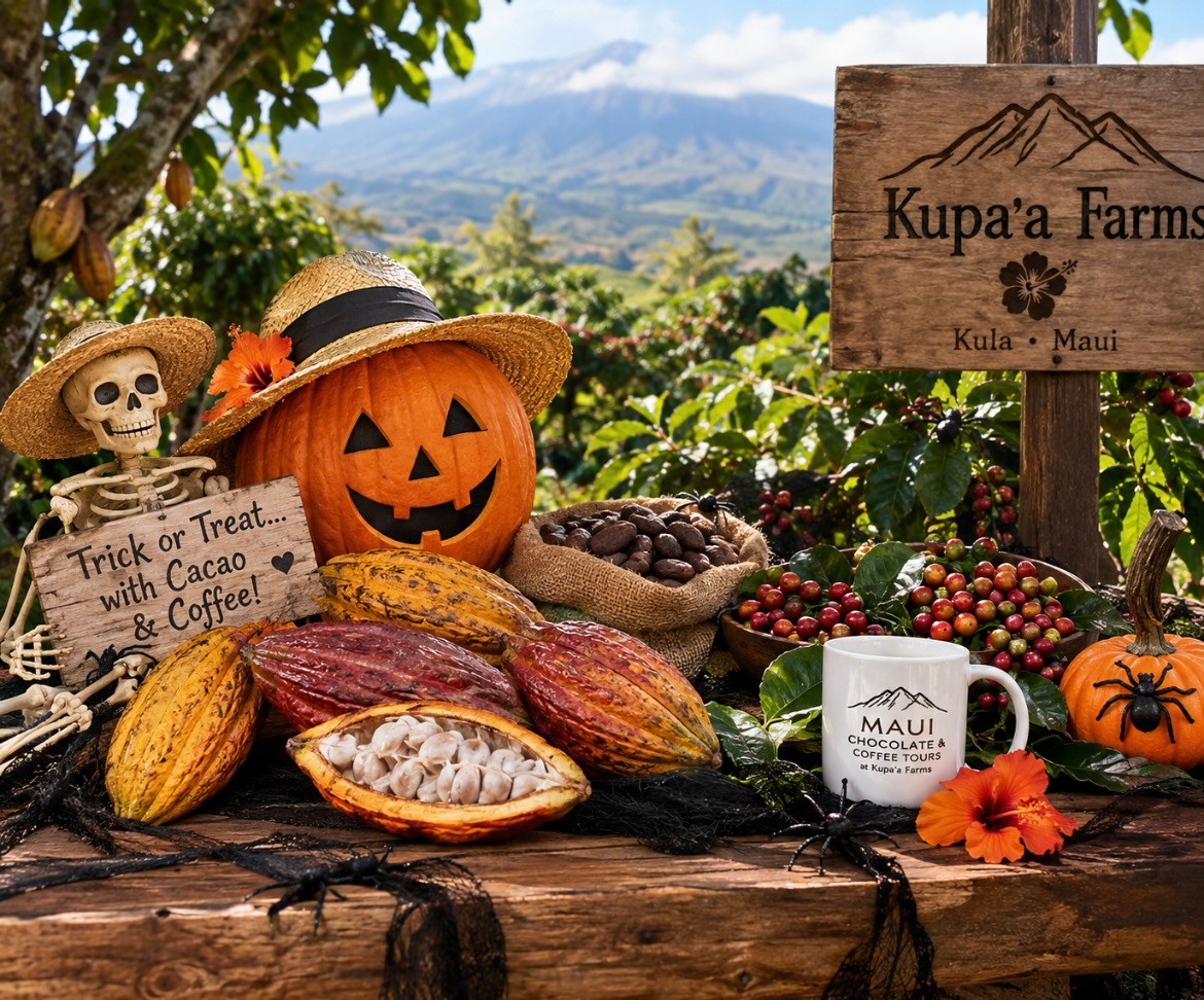Halloween display with jack-o'-lantern, cacao pods, coffee mug, and tropical farm background.